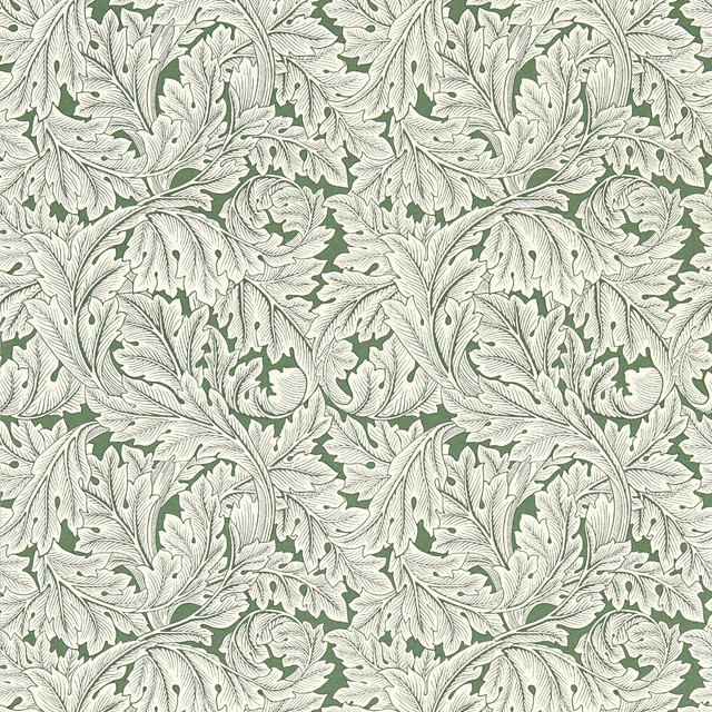 Acanthus Wp in Sage, Wallcovering by Clarke & Clarke