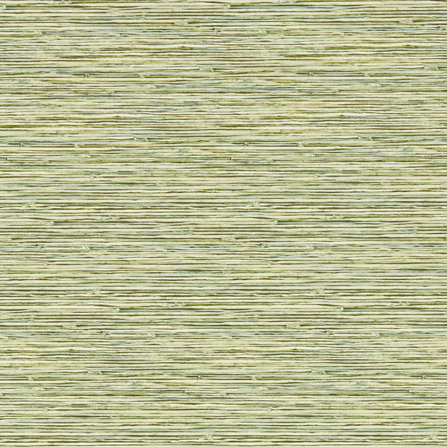 Xan in Palm Wp, Wallcovering by Clarke & Clarke