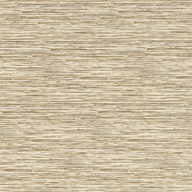 Xan in Sahara Wp, Wallcovering by Clarke & Clarke