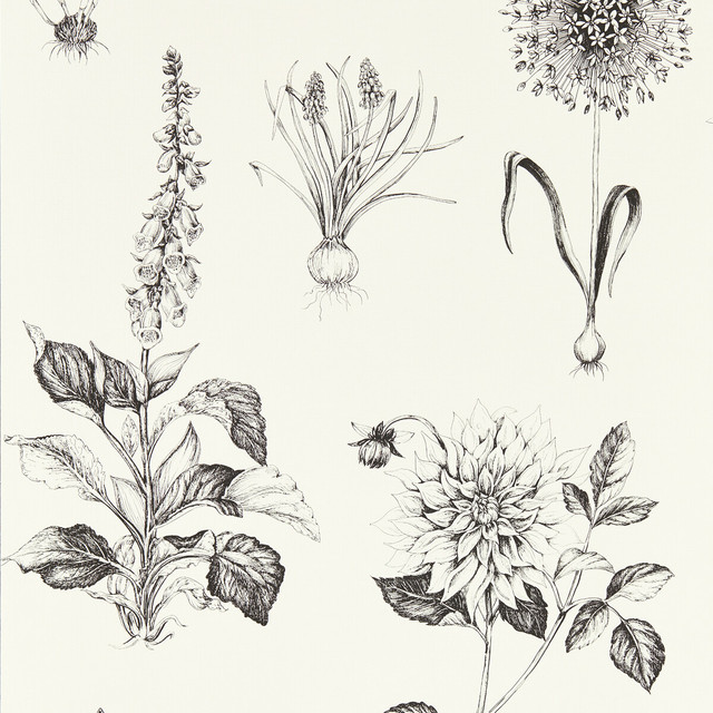 Roseraie in Charcoal Wp, Wallcovering by Clarke & Clarke