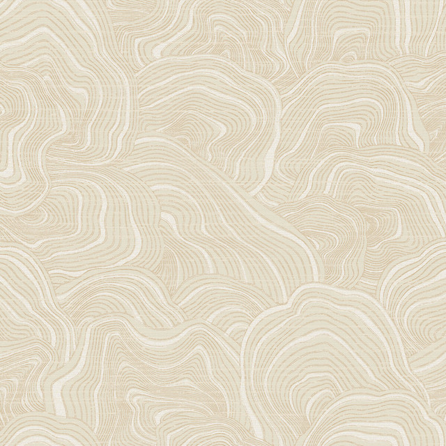 Kravet Design in W3719-116, Wallcovering