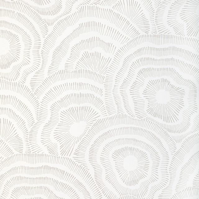 Panache Wp in Sand, Wallcovering by Kravet Couture