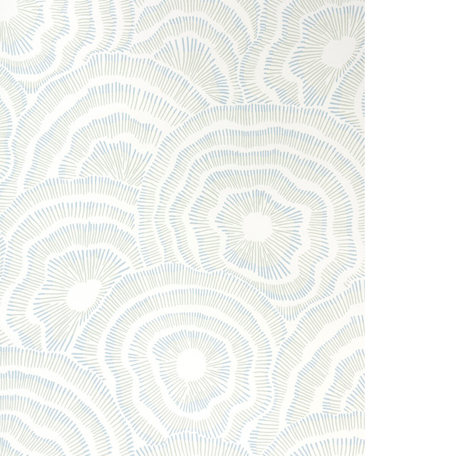 Panache Wp in Seafoam, Wallcovering by Kravet Couture