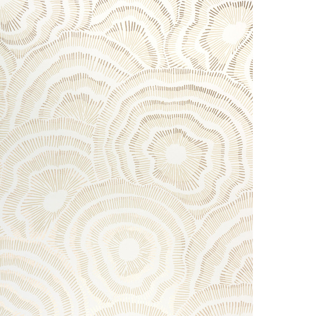 Panache Wp in Champagne, Wallcovering by Kravet Couture