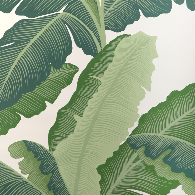 Isla Royal Wp in Verde, Wallcovering by Kravet Couture