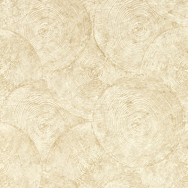 Silvan in Sahara Wp, Wallcovering by Clarke & Clarke(1)