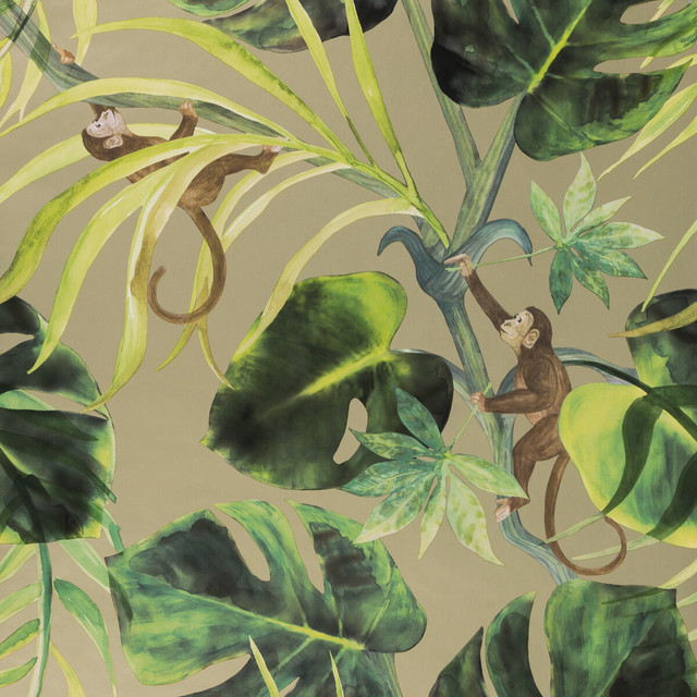 Monkey Business in Gilver, Wallcovering by Clarke & Clarke