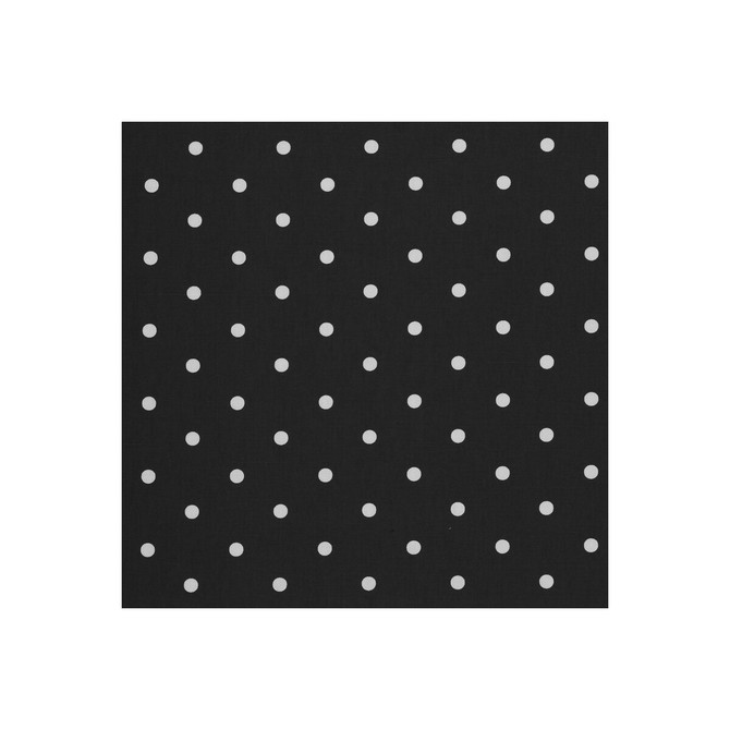 F0063/02.Cac.0 Dotty in Charcoal