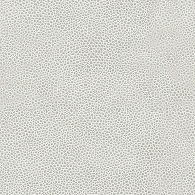 Edgy Shark.11.0 Edgy Shark in Platinum By Kravet Couture