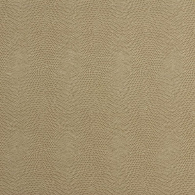 Epitome.16.0 Epitome in Putty By Kravet Couture