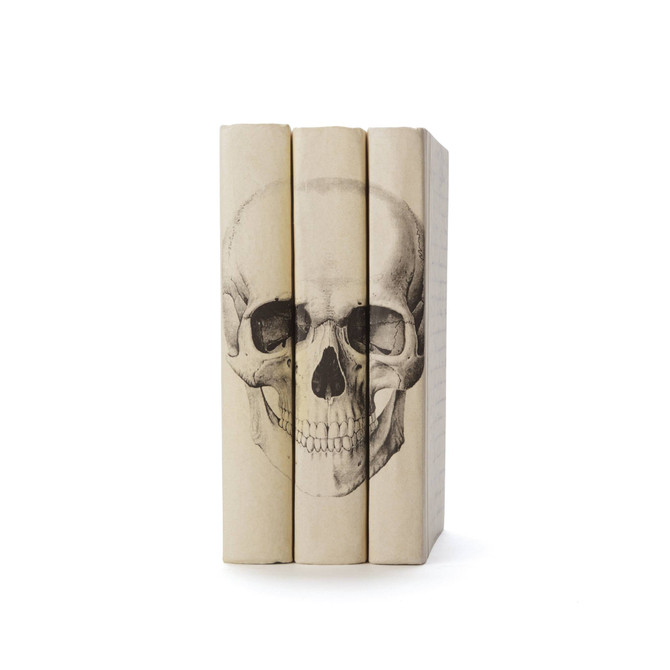 Set of Three Ivory Skull Books