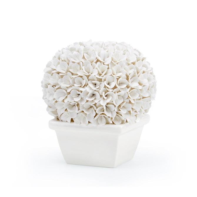 Boston Round Boxwood Topiary, Blanc De Chine