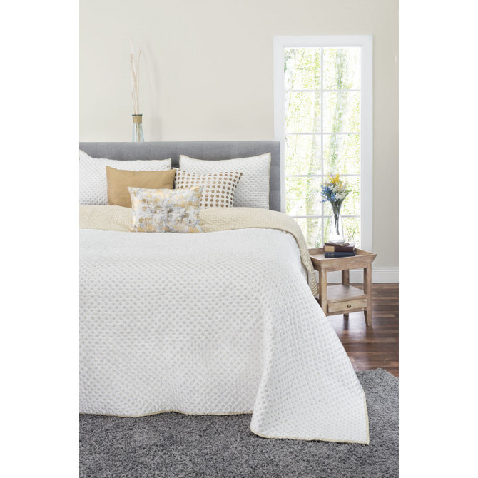 Cloud9 Design Willow King/Queen Size Quilt WILLOW01-IVBG