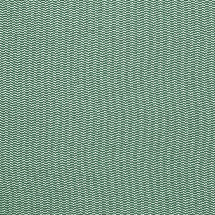 Donald in Verde By Gaston Y Daniela