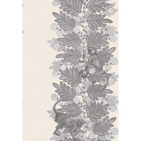 Acacia - Grey & White By Cole & Son