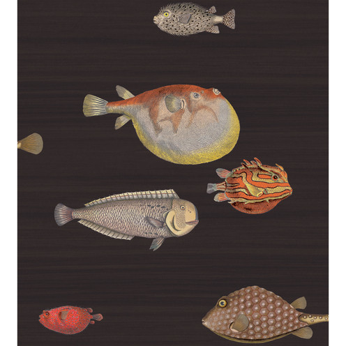 Acquario - Black & Mult By Cole & Son