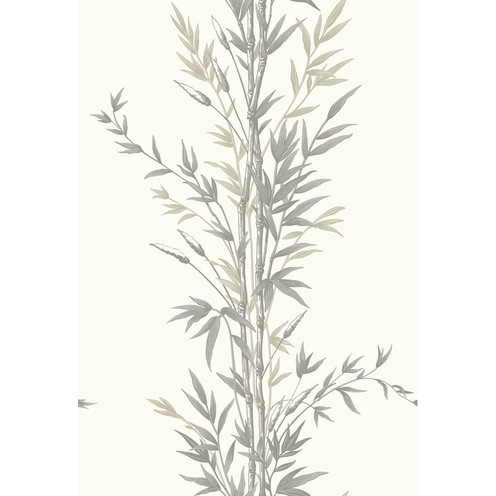 Bamboo - Charcoal By Cole & Son