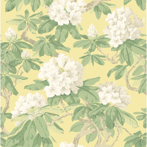 Bourlie - Pale Lemon By Cole & Son
