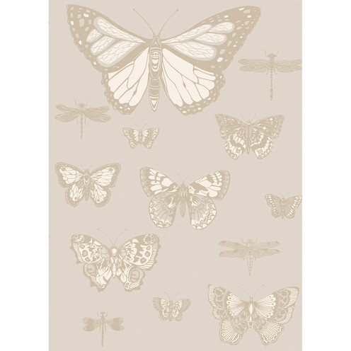 Butterflies & Dragonflies - Grey By Cole & Son