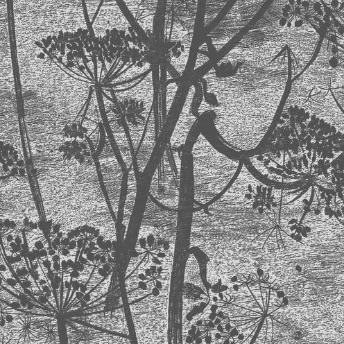 Cow Parsley - Charcoal By Cole & Son