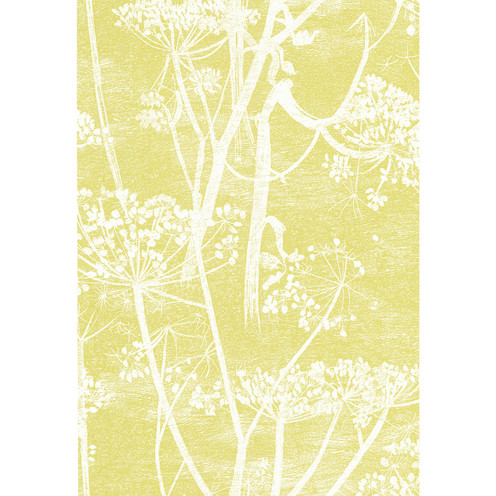 Cow Parsley - White/Y By Cole & Son