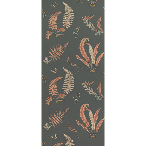 Ferns - Coral/Charcoal By G P & J Baker
