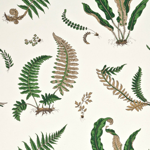Ferns - Original Green By G P & J Baker