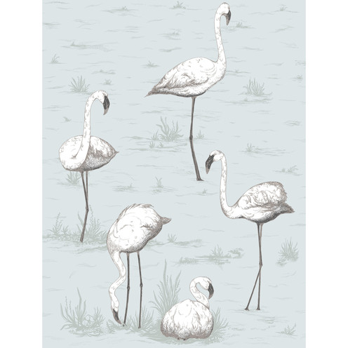 Flamingos - Charcoal/Aqua By Cole & Son