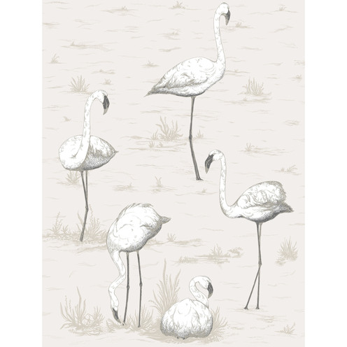 Flamingos - Charcoal/Wht By Cole & Son