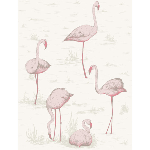 Flamingos - Pink/White By Cole & Son