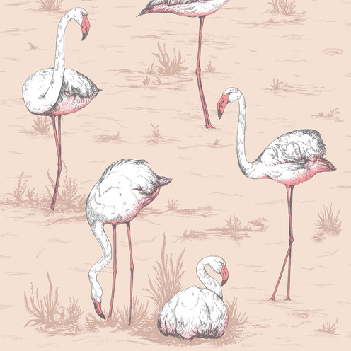 Flamingos - Plaster Pink By Cole & Son