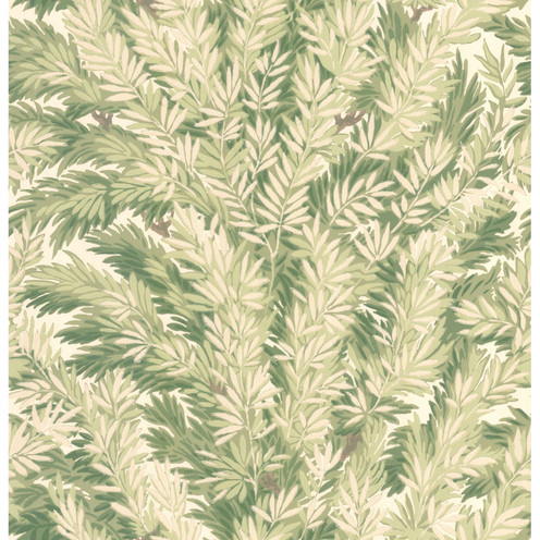Florencecourt - Olive By Cole & Son