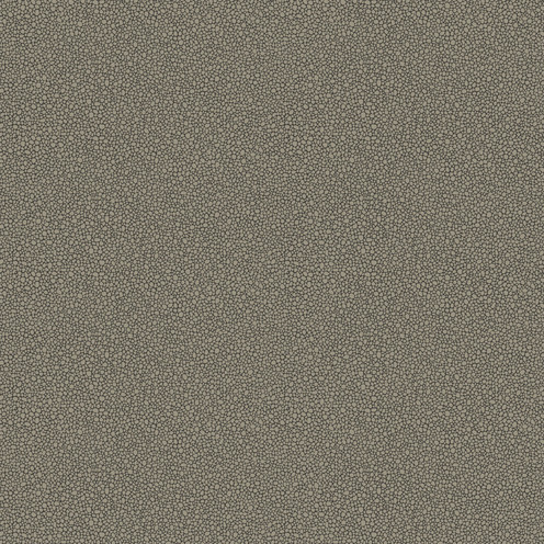 Goldstone - Black & Silver By Cole & Son
