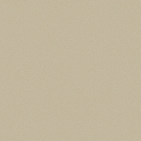 Goldstone - Stone & Gilver By Cole & Son
