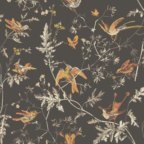 Hummingbirds - Charcoal/Ginger By Cole & Son