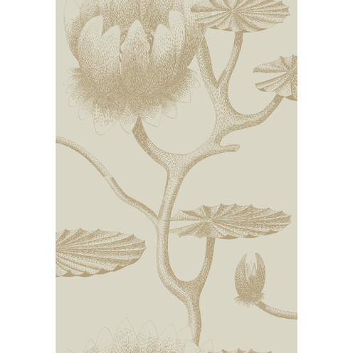 Lily - Linen/Gold By Cole & Son