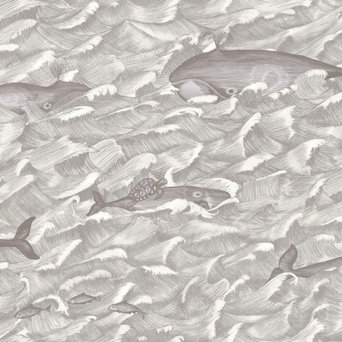 Melville - Sft Blk&Wht By Cole & Son