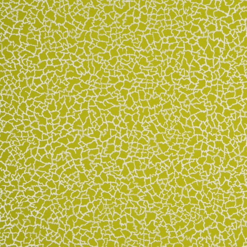 Ming - Lime/Silver By Baker Lifestyle