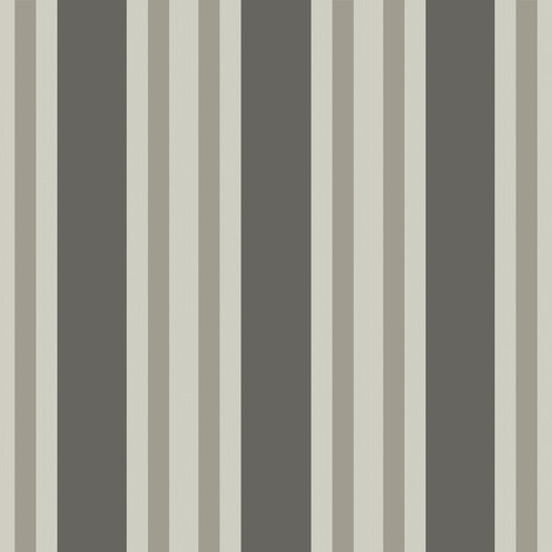 Polo Stripe - Black/White By Cole & Son