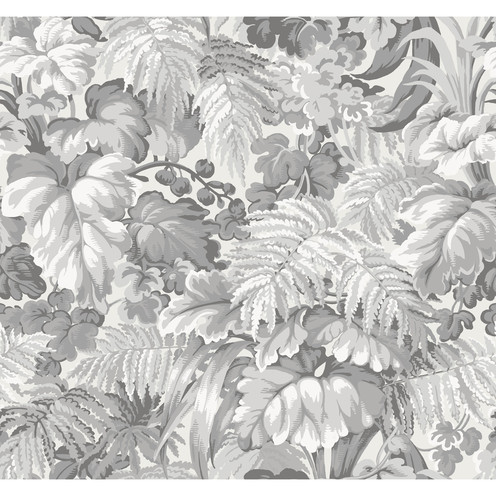 Royal Fernery - Warm Grey By Cole & Son