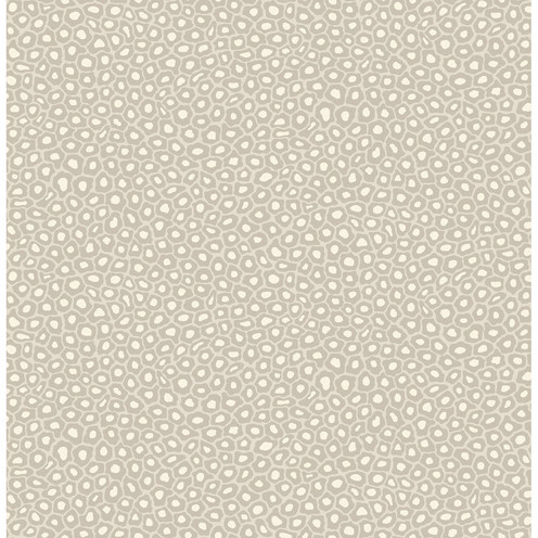 Senzo Spot - Stone & White By Cole & Son