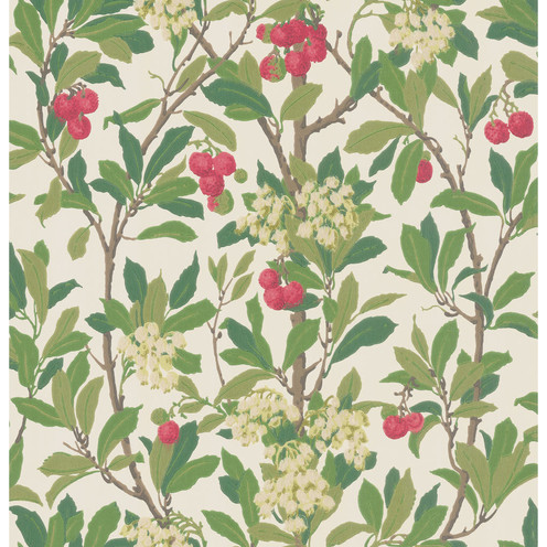 Strawberry Tree - Scarlet & Ivory By Cole & Son