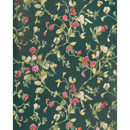 Sweet Pea - Cerise/Magen/Vrdn By Cole & Son