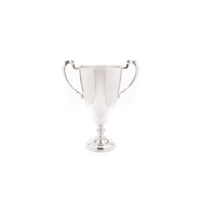 Go Home Ltd - Nickel Finish Trophy
