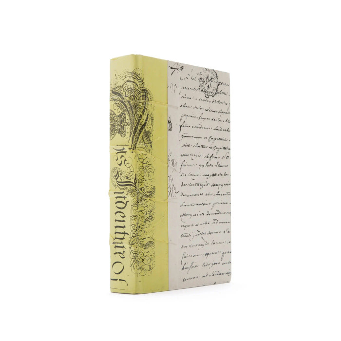Linear Foot of Sunshine Bold Books