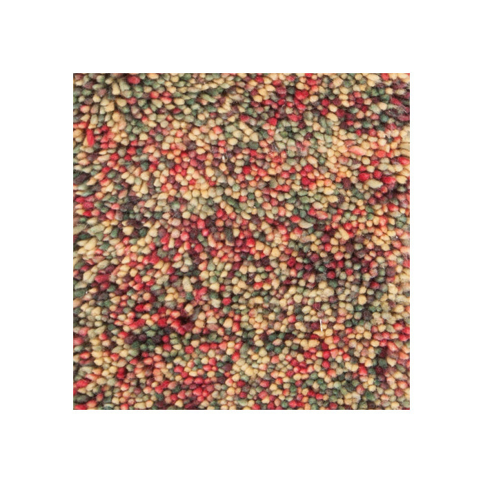 Chandra Izzie 45302 Rug
