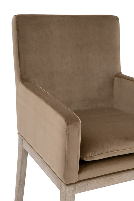 Essentials For Living - Drake Arm Chair in Caramel Velvet, Natural Gray Oak