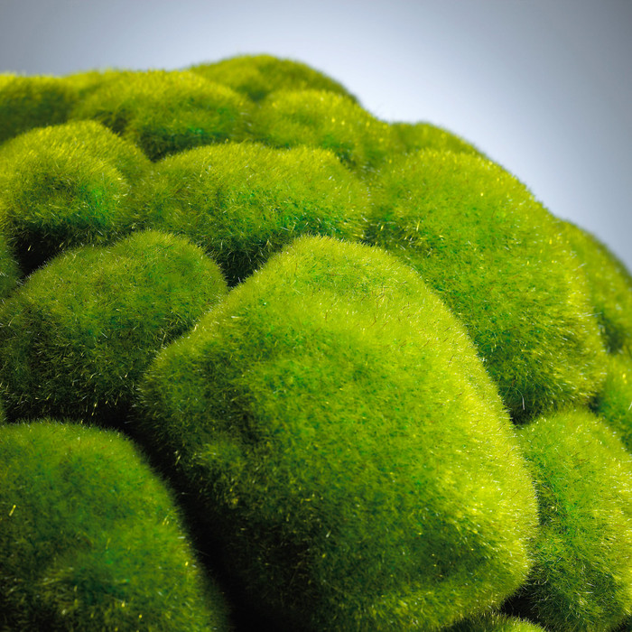 Large Moss Sphere in Moss Green by Cyan Design