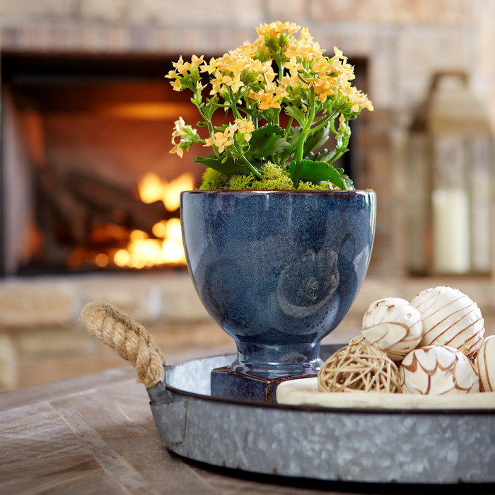 Large Big Sky Planter in Blue Glaze by Cyan Design