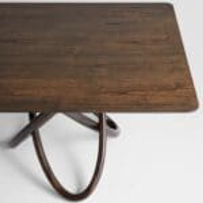 Elo Dining Table in Natural & Dark Brown by Cyan Design